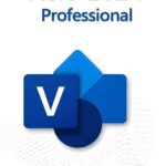 Visio Professional 2024 bind
